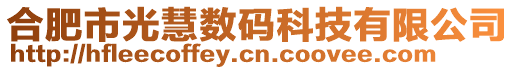 合肥市光慧數(shù)碼科技有限公司