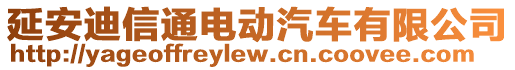 延安迪信通電動汽車有限公司