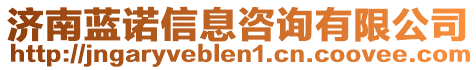 济南蓝诺信息咨询有限公司