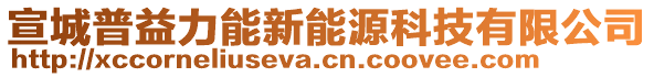 宣城普益力能新能源科技有限公司