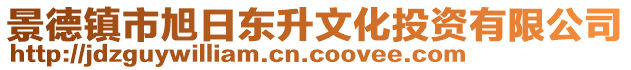 景德鎮(zhèn)市旭日東升文化投資有限公司