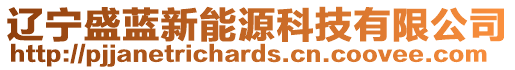 辽宁盛蓝新能源科技有限公司