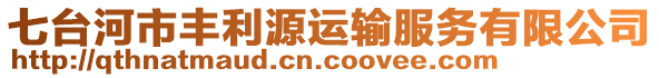 七台河市丰利源运输服务有限公司