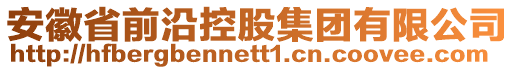 安徽省前沿控股集團(tuán)有限公司