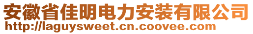 安徽省佳明電力安裝有限公司