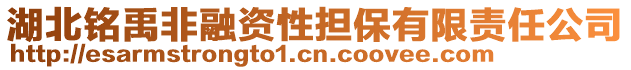 湖北銘禹非融資性擔保有限責任公司