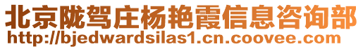 北京隴駕莊楊艷霞信息咨詢部