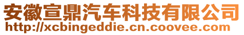 安徽宣鼎汽車科技有限公司