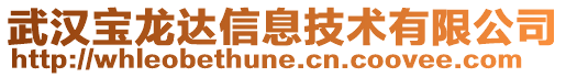 武汉宝龙达信息技术有限公司