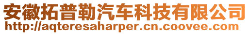 安徽拓普勒汽車科技有限公司