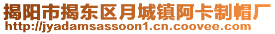 揭阳市揭东区月城镇阿卡制帽厂