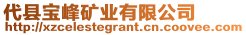 代縣寶峰礦業(yè)有限公司