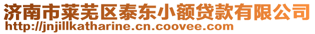 濟(jì)南市萊蕪區(qū)泰東小額貸款有限公司