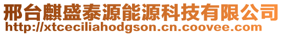 邢臺麒盛泰源能源科技有限公司