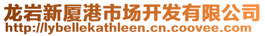 龍巖新廈港市場開發(fā)有限公司