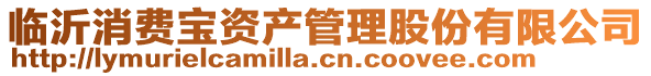 临沂消费宝资产管理股份有限公司