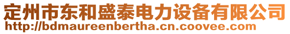 定州市東和盛泰電力設(shè)備有限公司