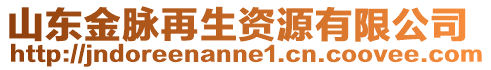 山东金脉再生资源有限公司