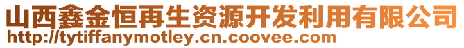 山西鑫金恒再生资源开发利用有限公司