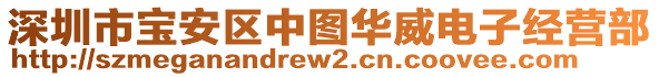 深圳市宝安区中图华威电子经营部