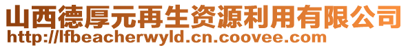 山西德厚元再生資源利用有限公司