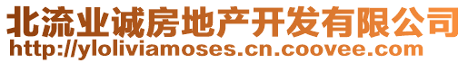 北流業(yè)誠房地產(chǎn)開發(fā)有限公司