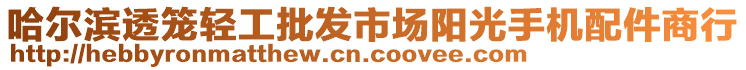 哈尔滨透笼轻工批发市场阳光手机配件商行