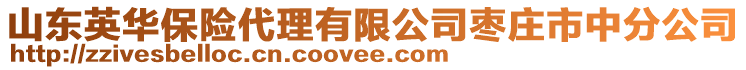 山东英华保险代理有限公司枣庄市中分公司