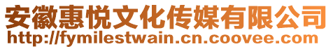 安徽惠悅文化傳媒有限公司