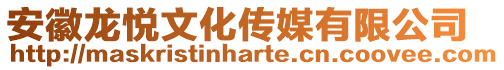 安徽龍悅文化傳媒有限公司