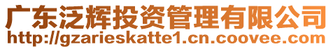 廣東泛輝投資管理有限公司