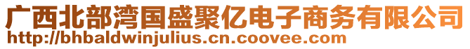 广西北部湾国盛聚亿电子商务有限公司