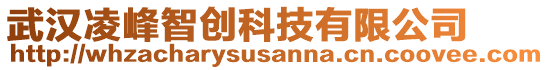 武汉凌峰智创科技有限公司