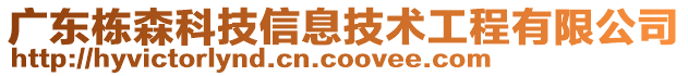 广东栋森科技信息技术工程有限公司