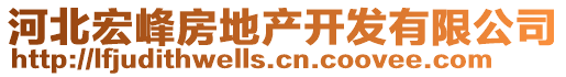 河北宏峰房地產(chǎn)開發(fā)有限公司