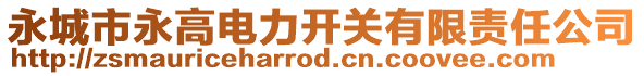 永城市永高電力開關(guān)有限責(zé)任公司