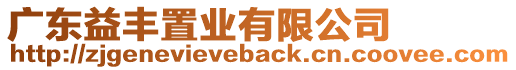 廣東益豐置業(yè)有限公司