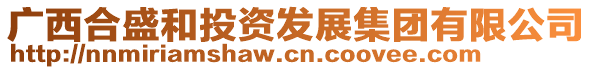 广西合盛和投资发展集团有限公司