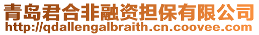 青島君合非融資擔保有限公司