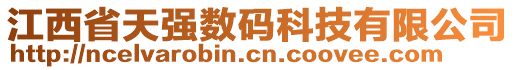 江西省天強數(shù)碼科技有限公司