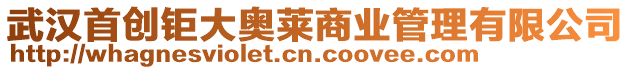 武漢首創(chuàng)鉅大奧萊商業(yè)管理有限公司