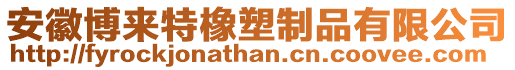 安徽博來特橡塑制品有限公司