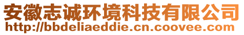 安徽志誠環(huán)境科技有限公司