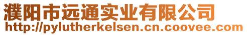 濮陽市遠(yuǎn)通實(shí)業(yè)有限公司