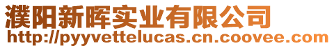 濮陽新暉實業(yè)有限公司