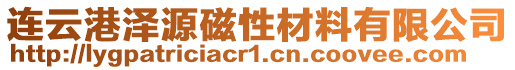 連云港澤源磁性材料有限公司