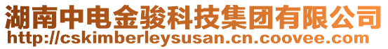 湖南中電金駿科技集團(tuán)有限公司