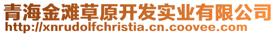 青海金滩草原开发实业有限公司