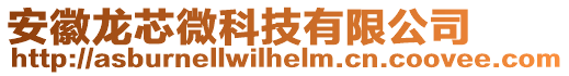 安徽龙芯微科技有限公司