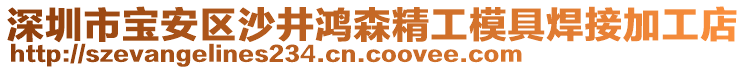 深圳市寶安區(qū)沙井鴻森精工模具焊接加工店